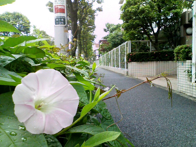 摜