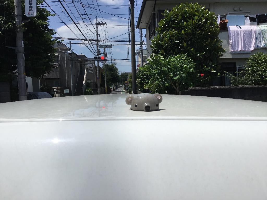摜
