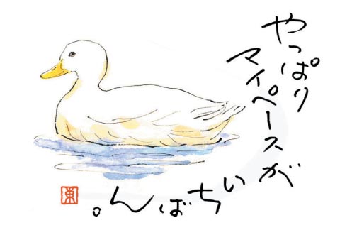 摜