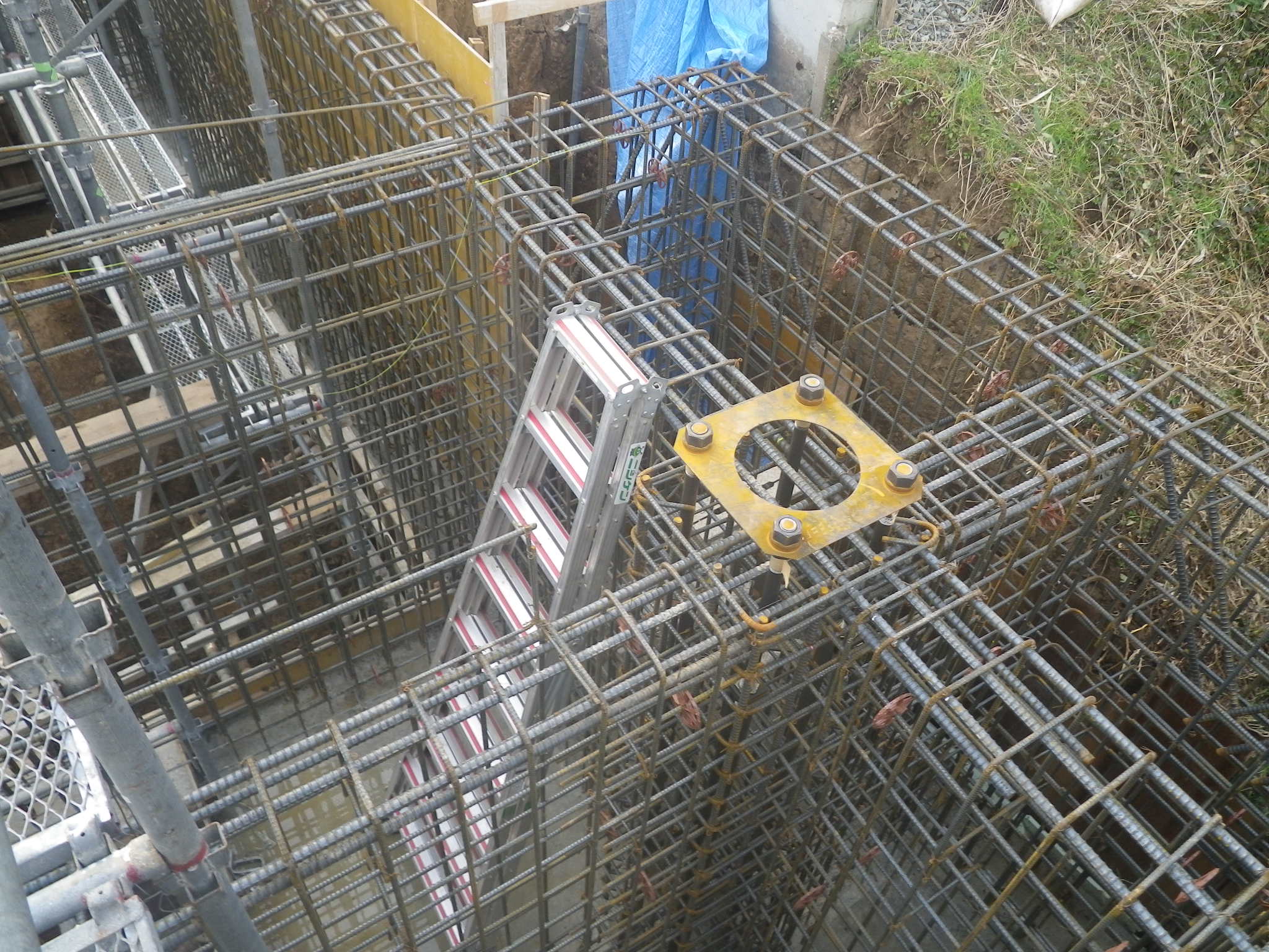 摜