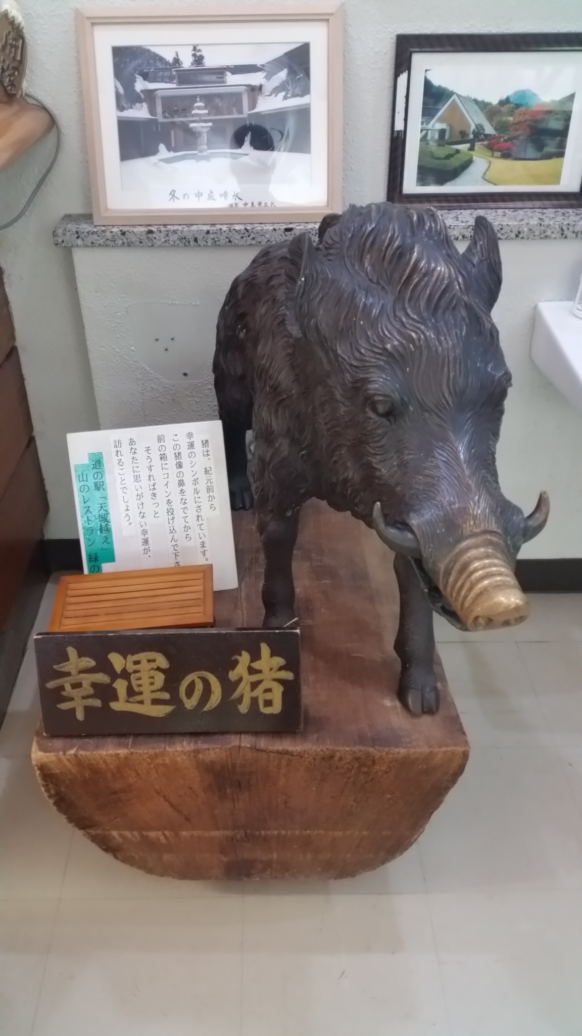 摜