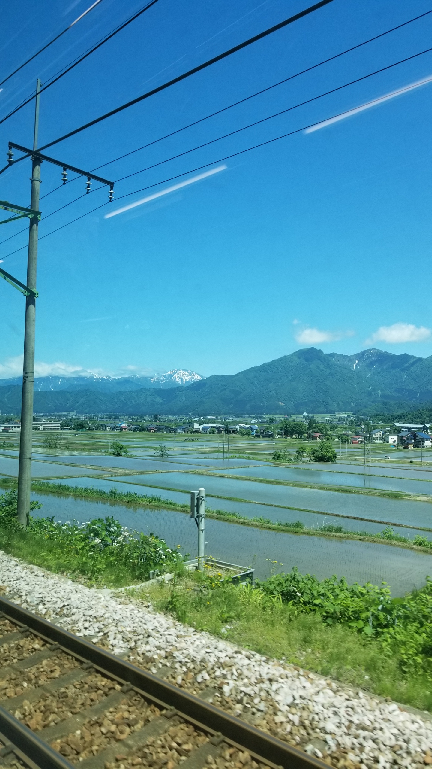 摜