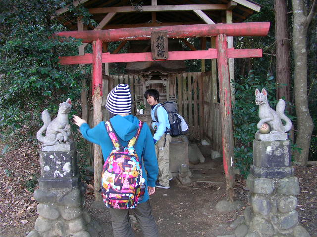 摜